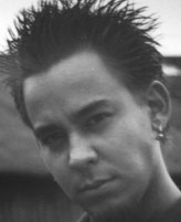 mikelinkinpark.jpg